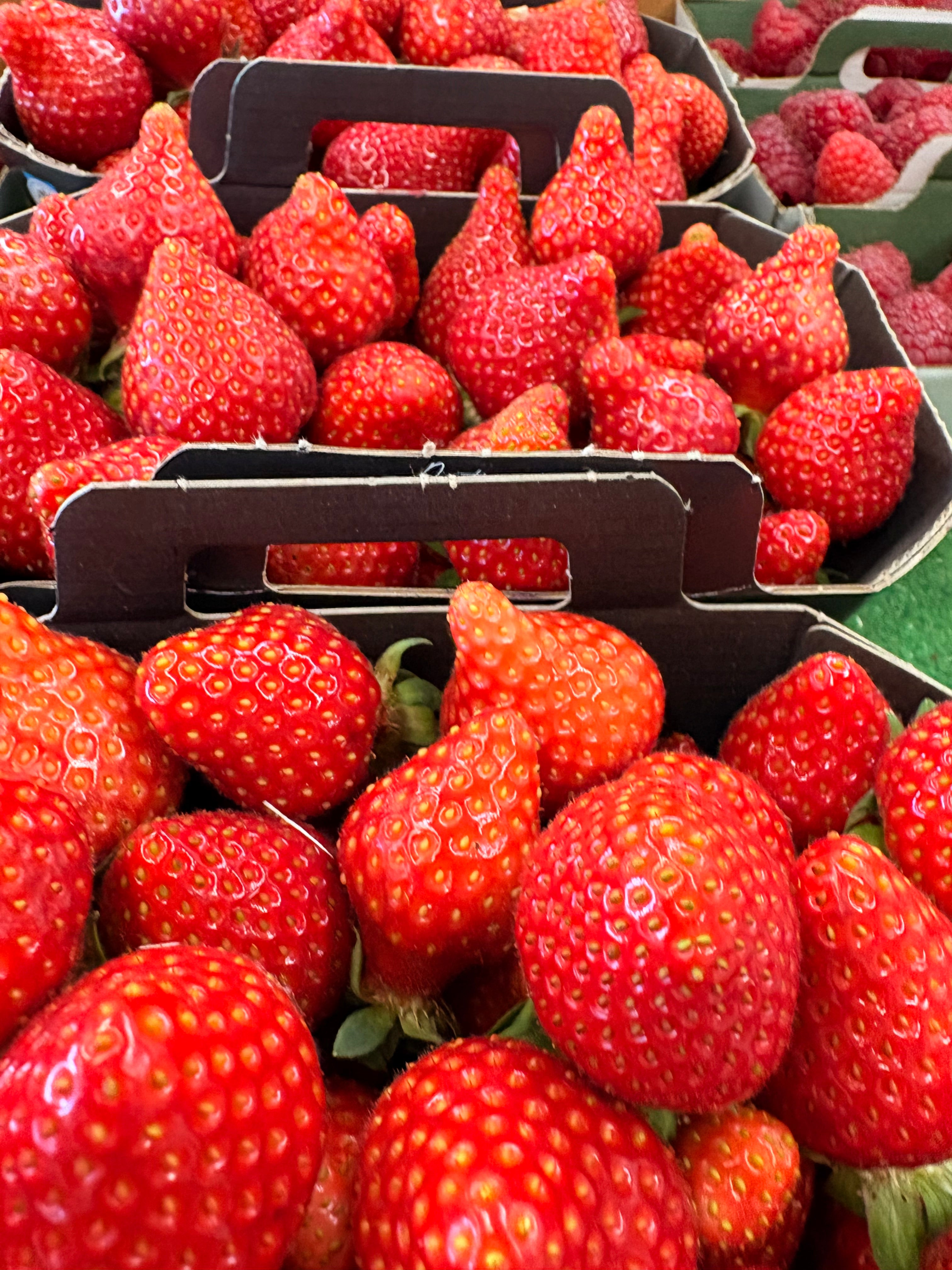 Fraises « Cléry » de Carpentras