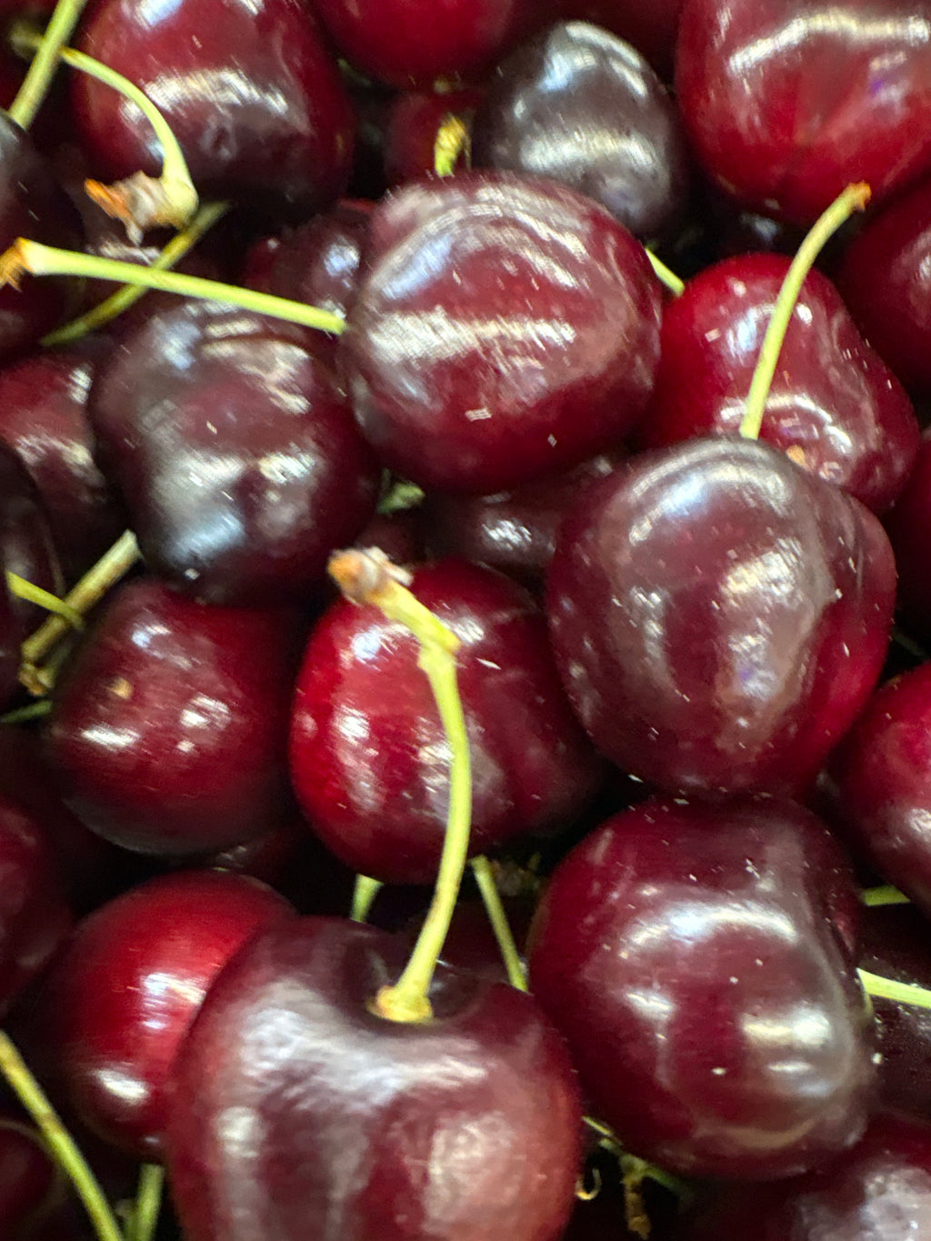 Cerises «Carmen »