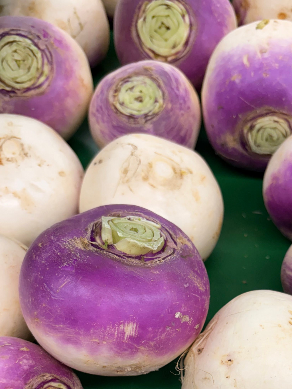 Navets violets