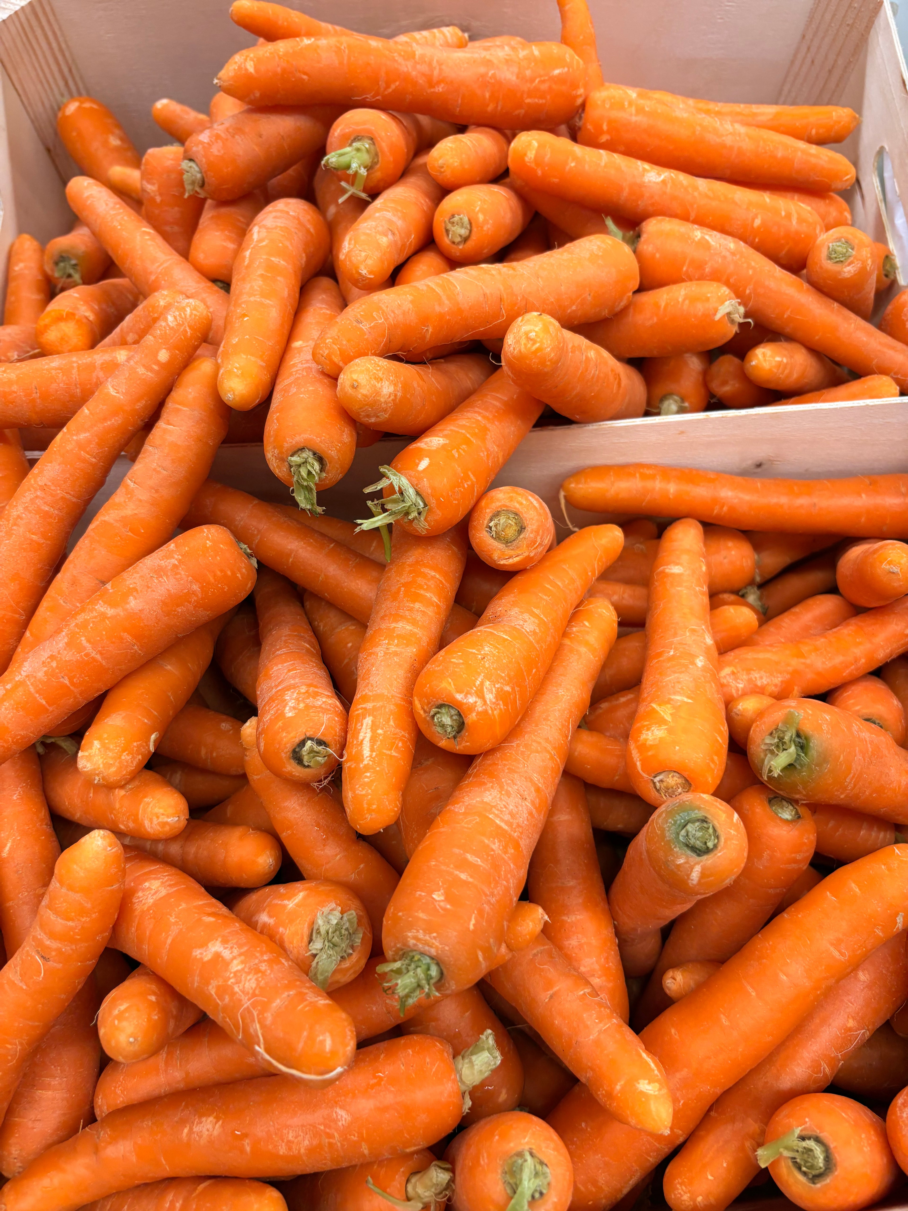 Carottes
