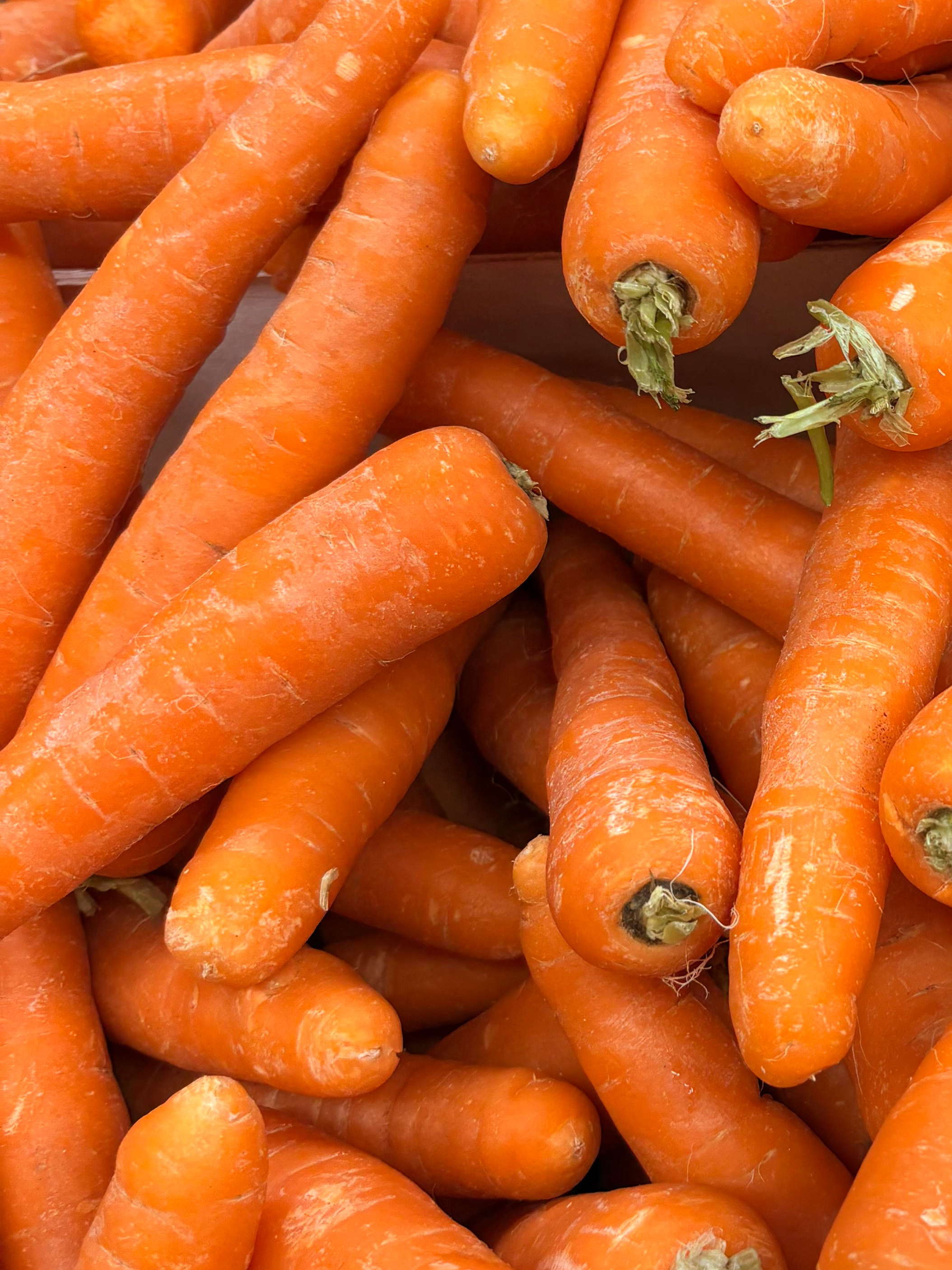 Carottes