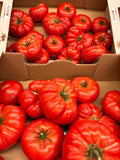 Tomates anciennes
