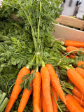 Carottes nouvelles