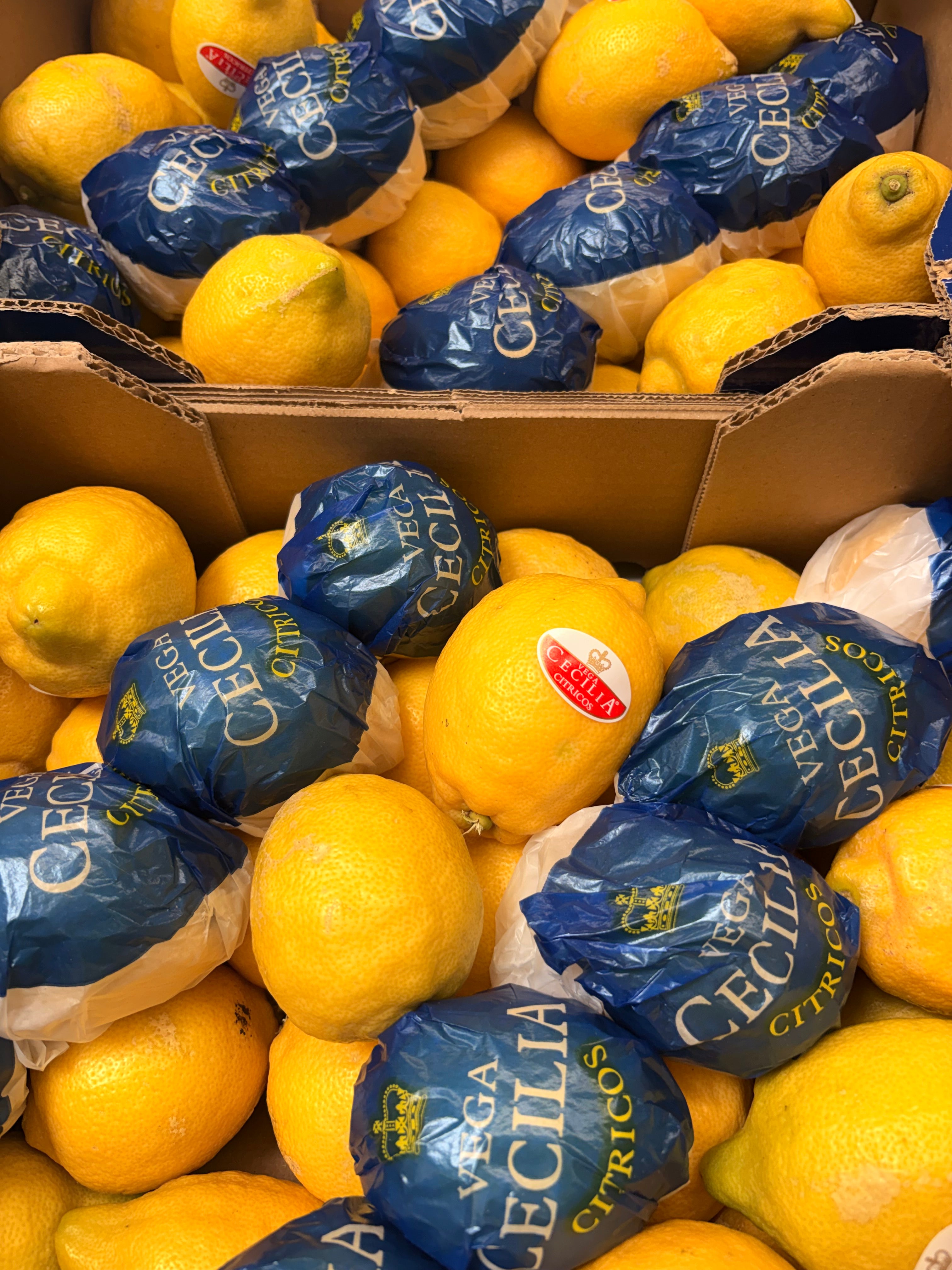 Citrons jaunes non traités après récolte