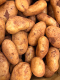 Pommes de terre nouvelles «spunta »