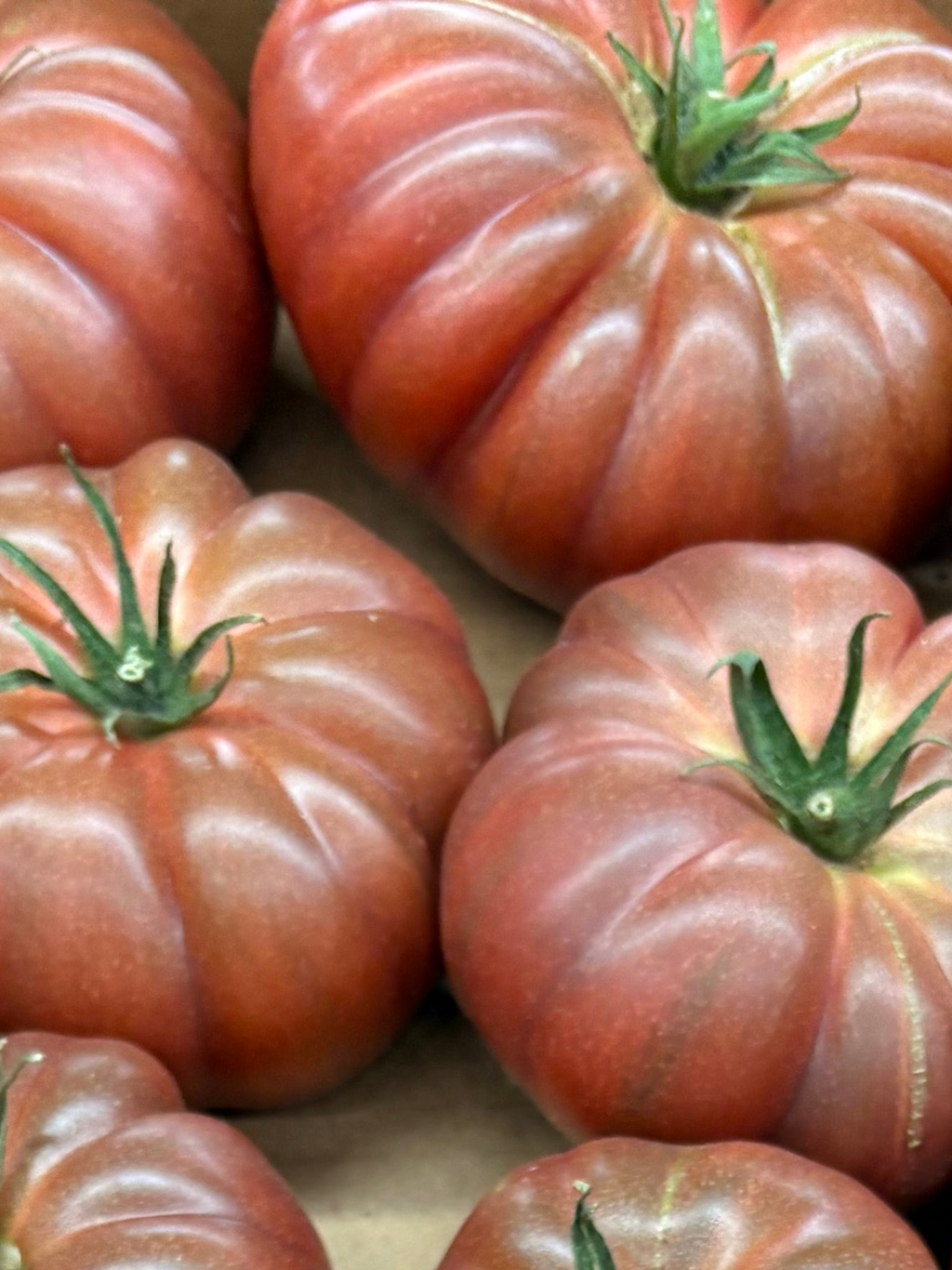 Tomates Noires de Crimée