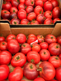 Tomates anciennes « blue purple »