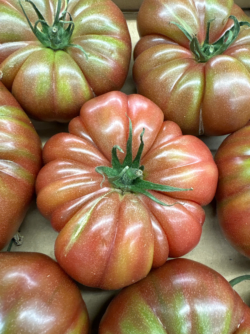 Tomates Noires De Crimée