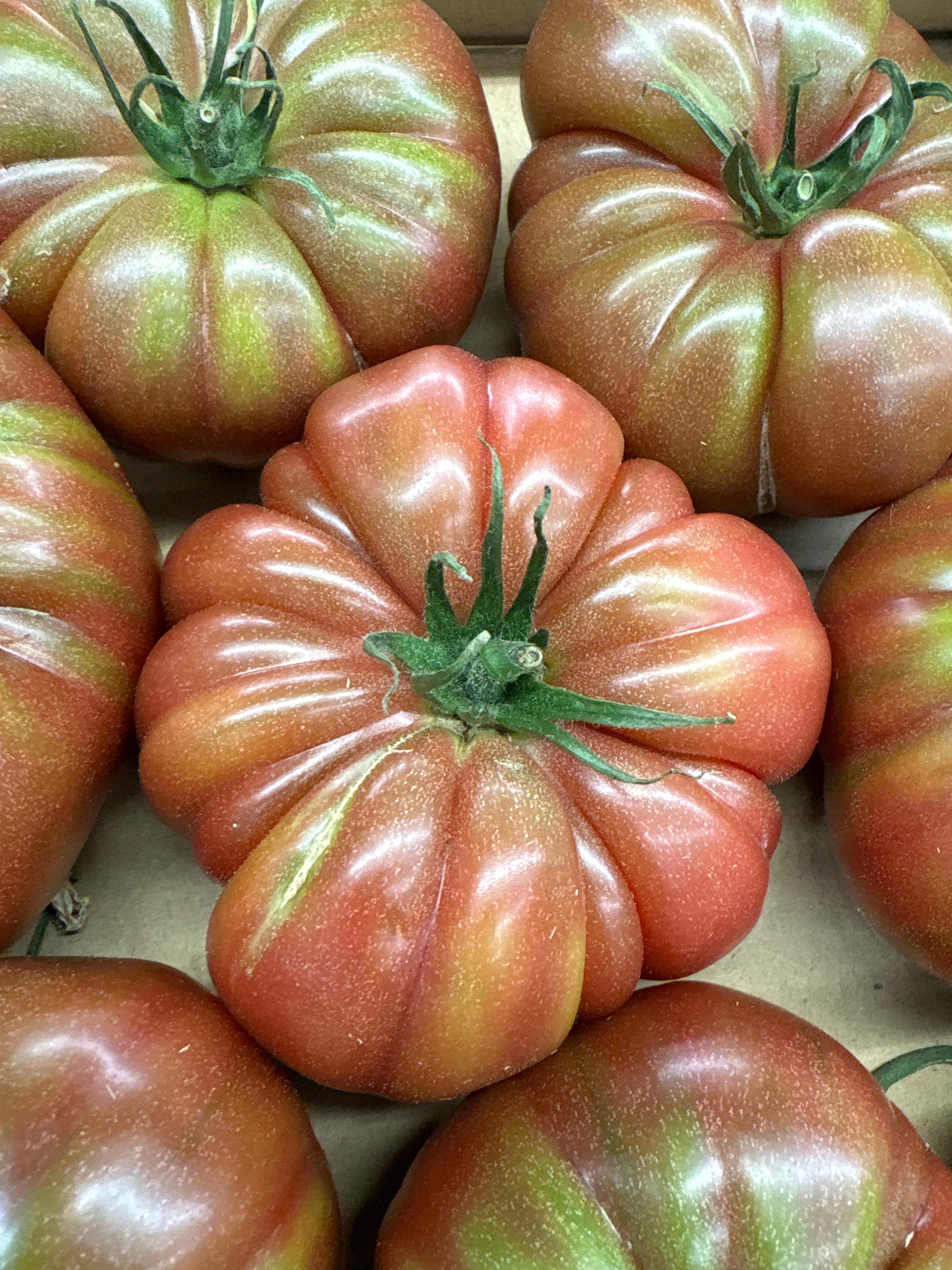 Tomates Noires De Crimée