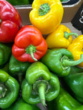 Poivrons mélangés couleurs