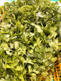 Persil plat