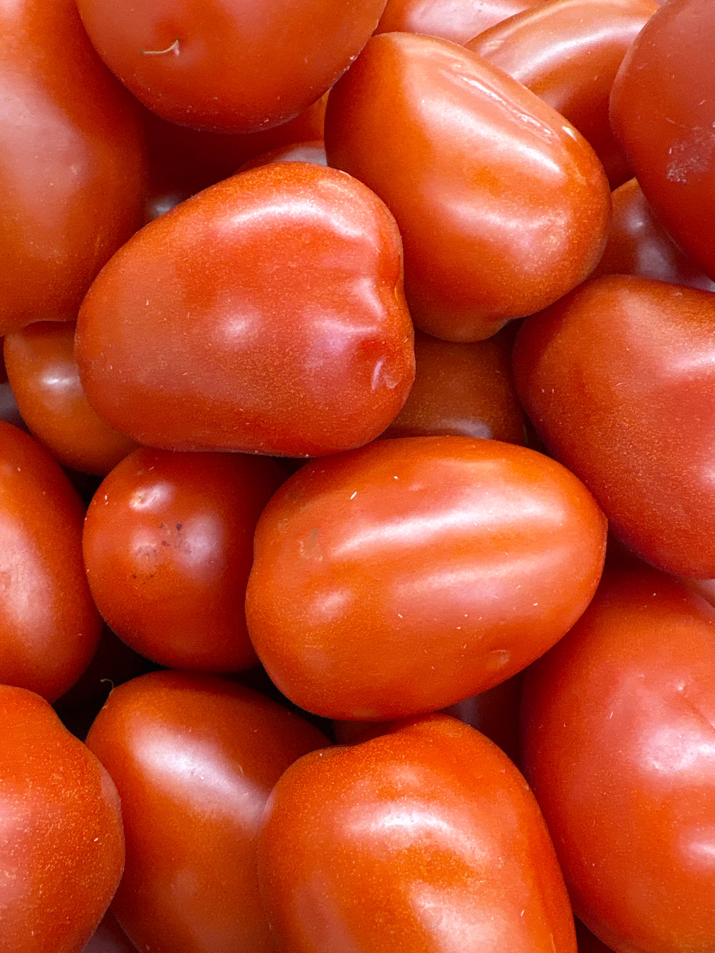 Tomates Roma
