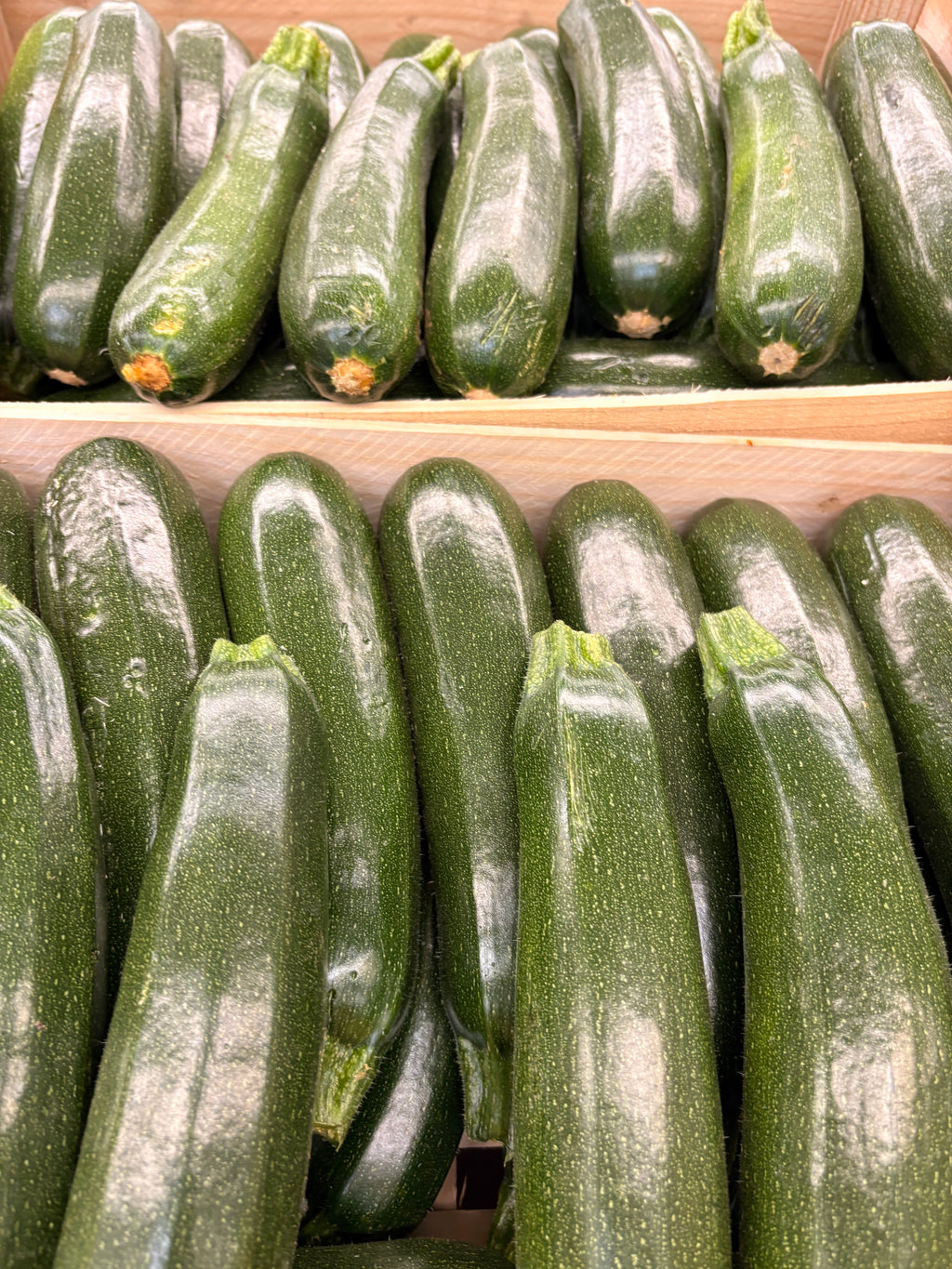 Courgettes