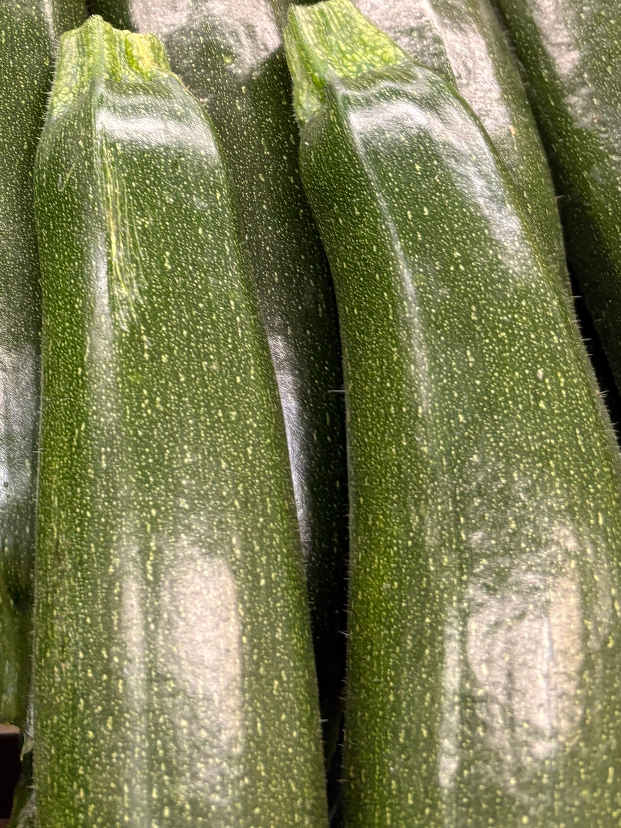 Courgettes