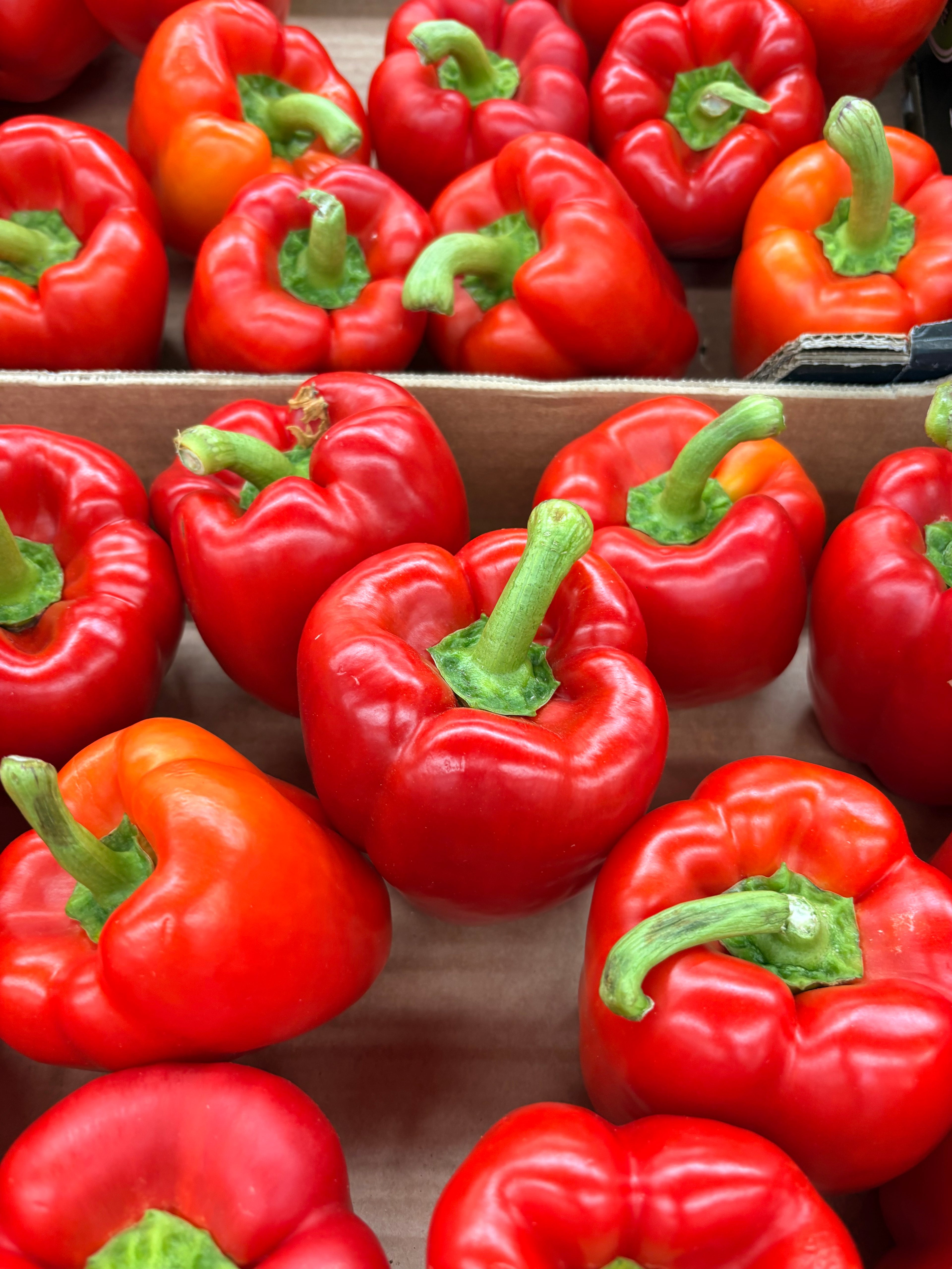 Poivrons rouges