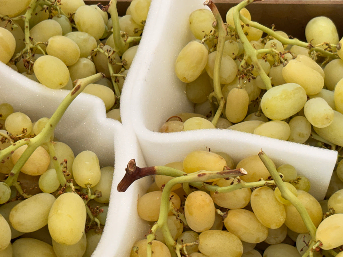 Raisin  Italia