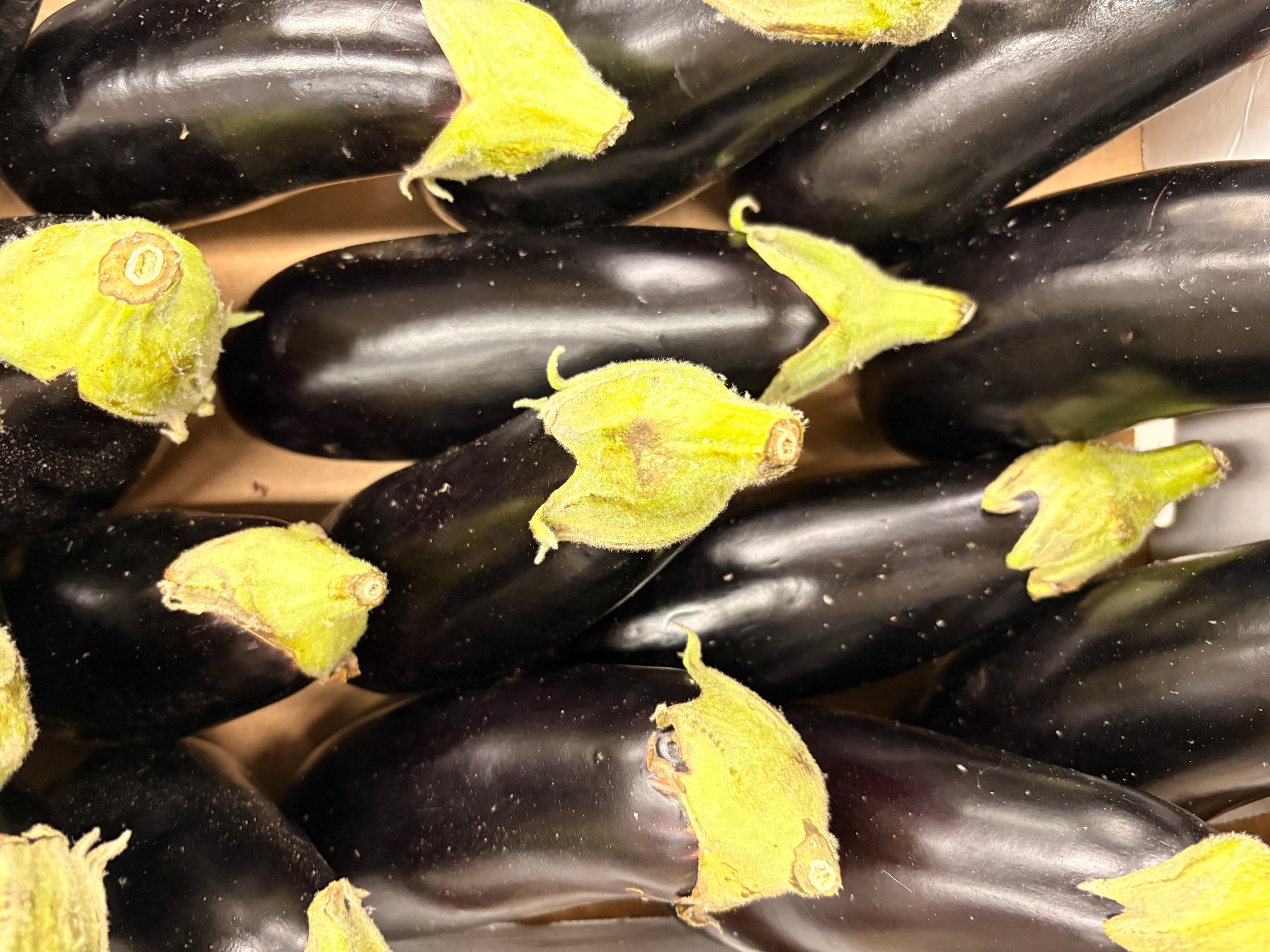Aubergines