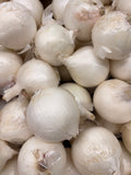 Oignons blancs