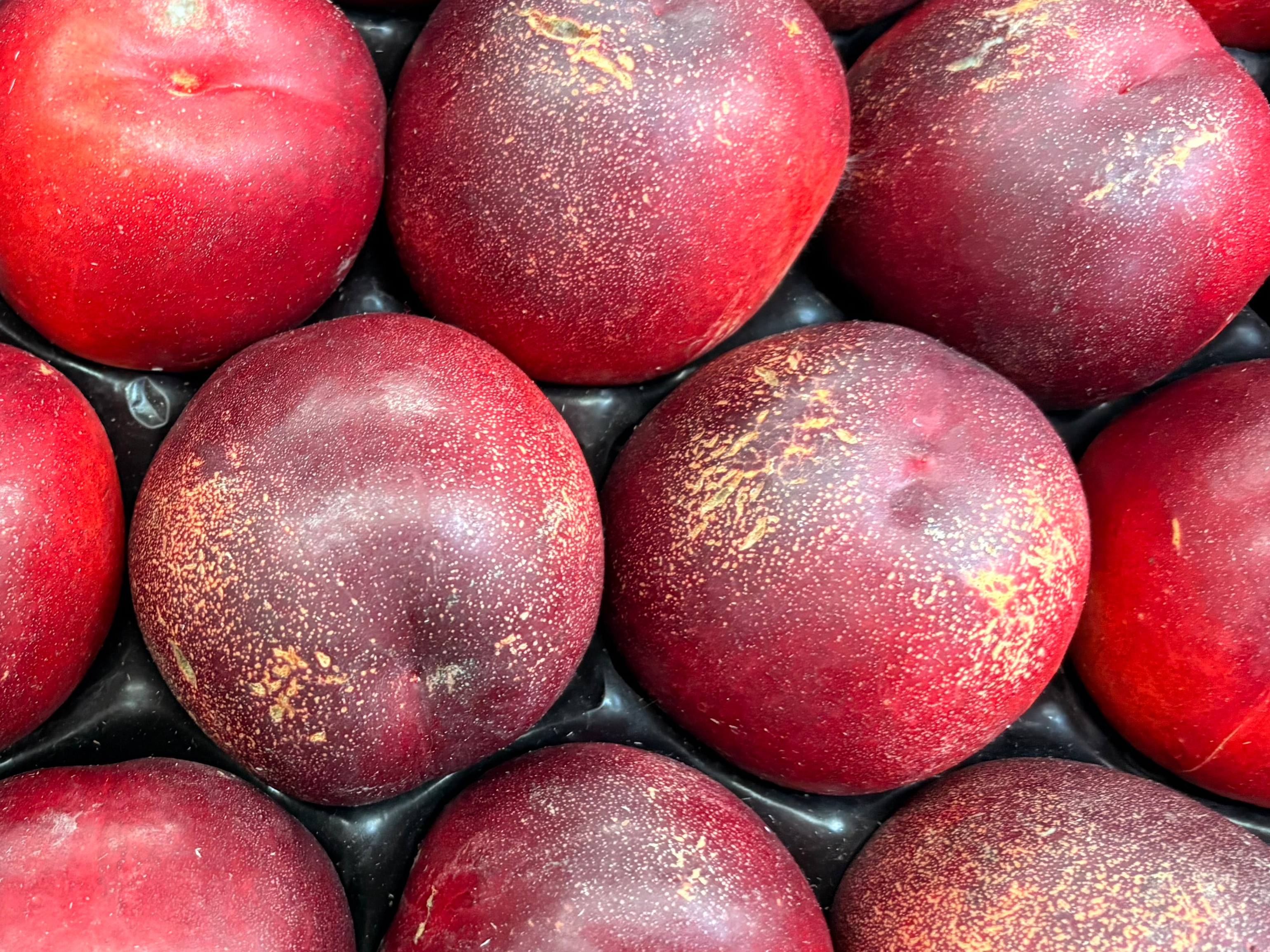 Nectarines Blanches