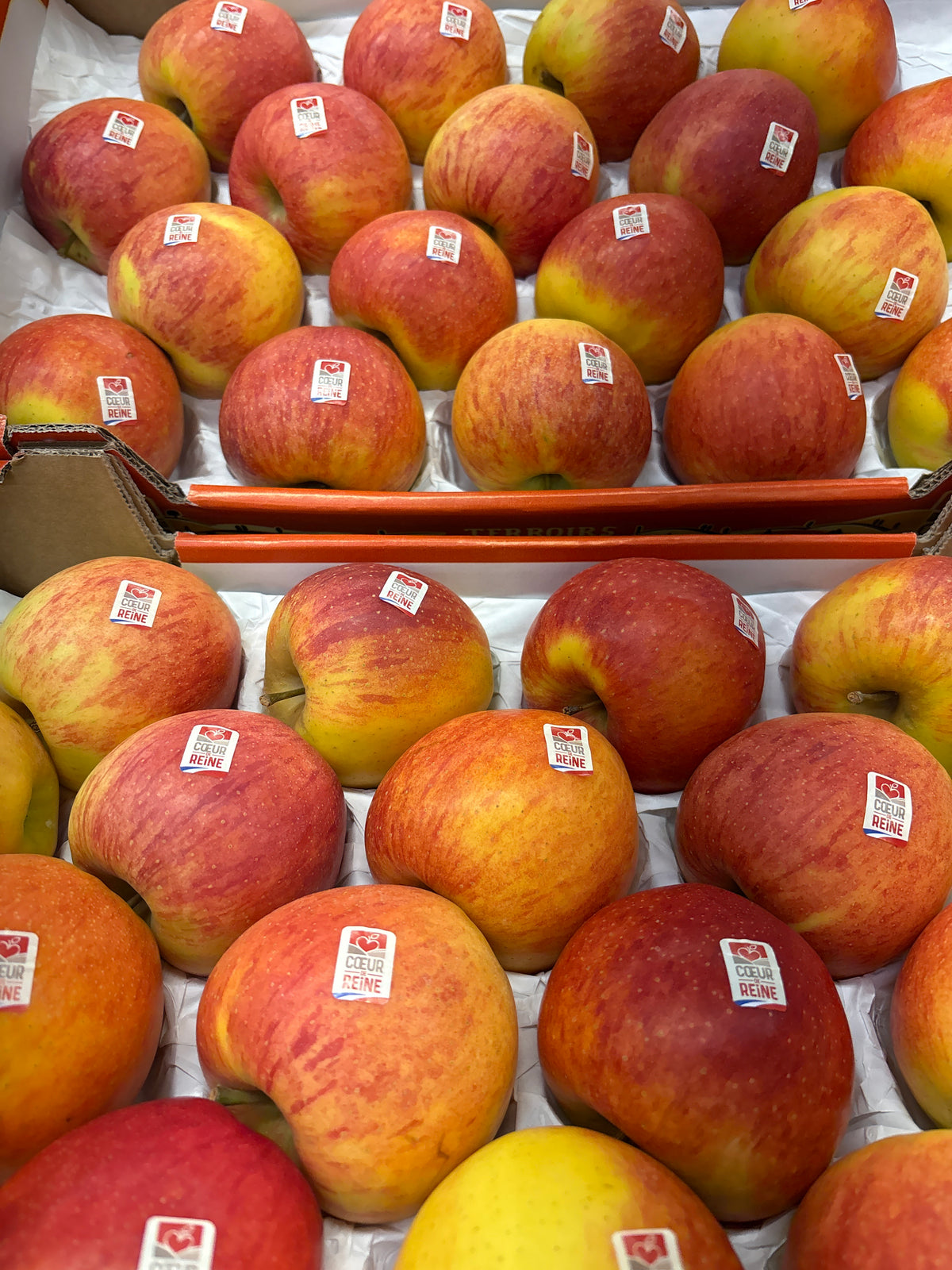 Pommes « cœur de reine »