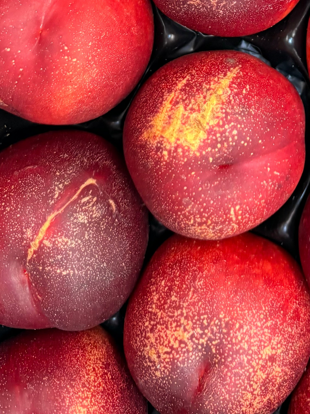 Nectarines Jaunes