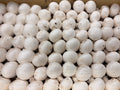 Champignons de Paris blancs