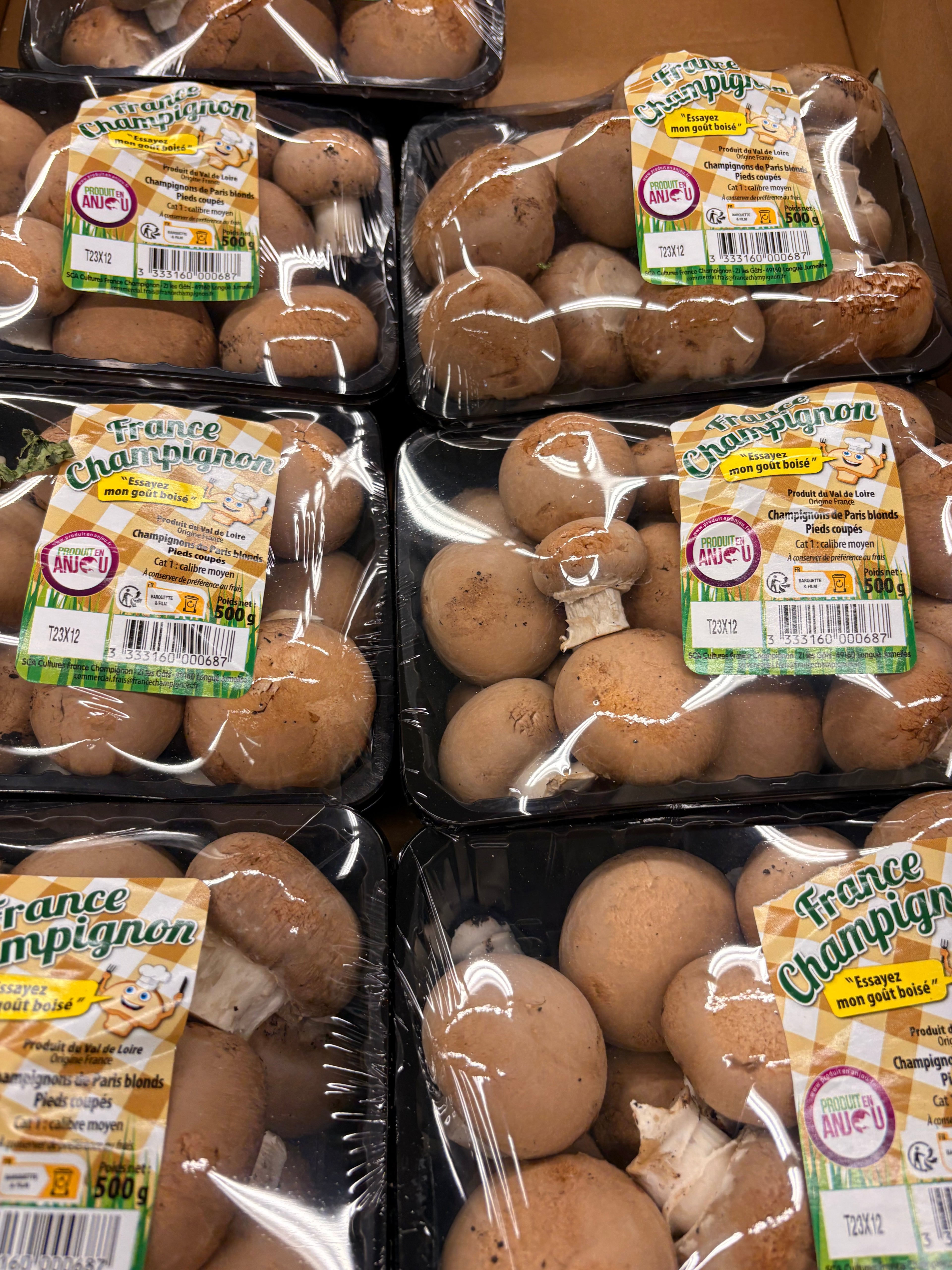 Champignons bruns barquette 500grs