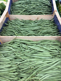 Haricots verts français