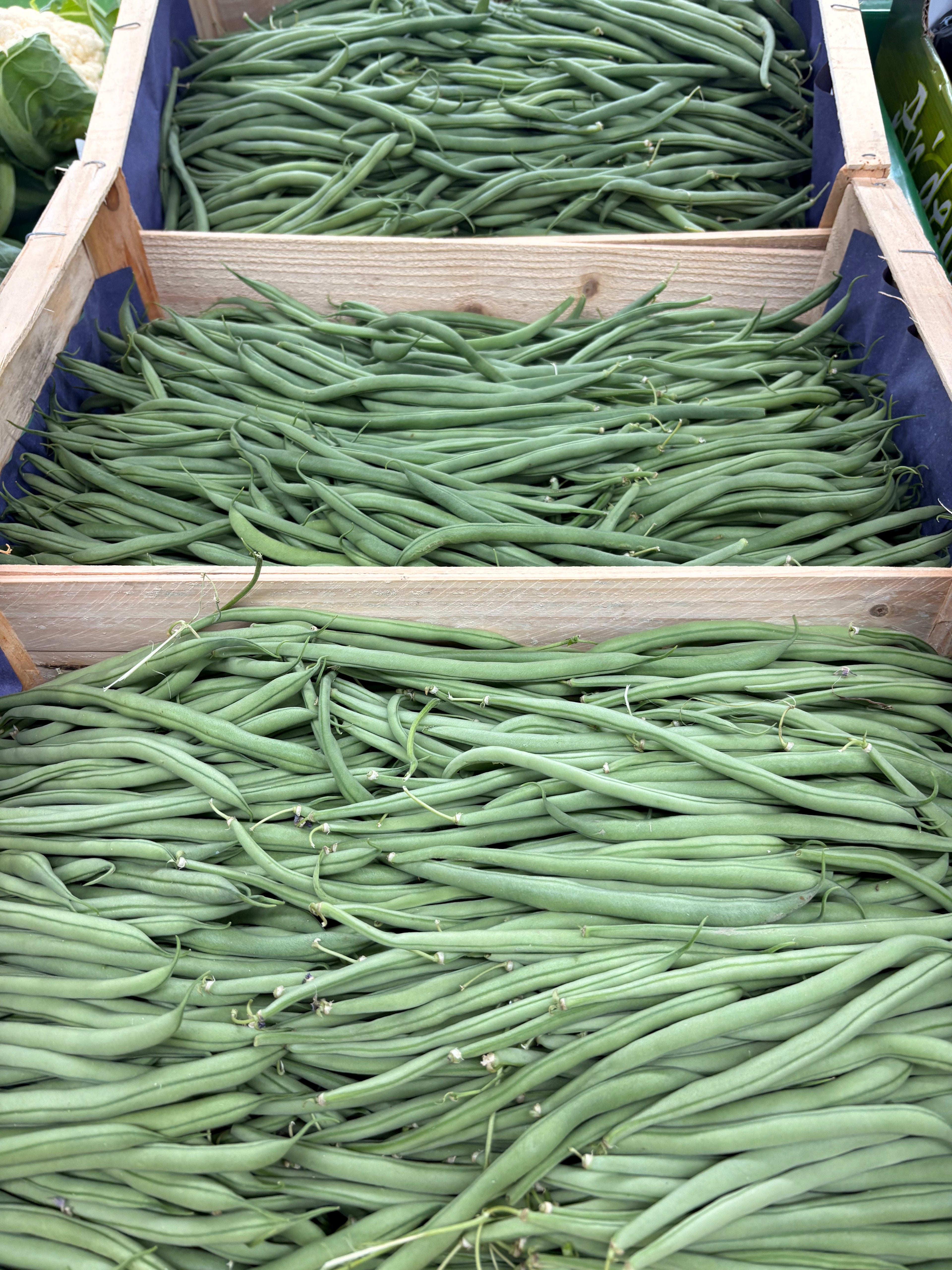 Haricots verts français cueillis main