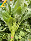 Basilic