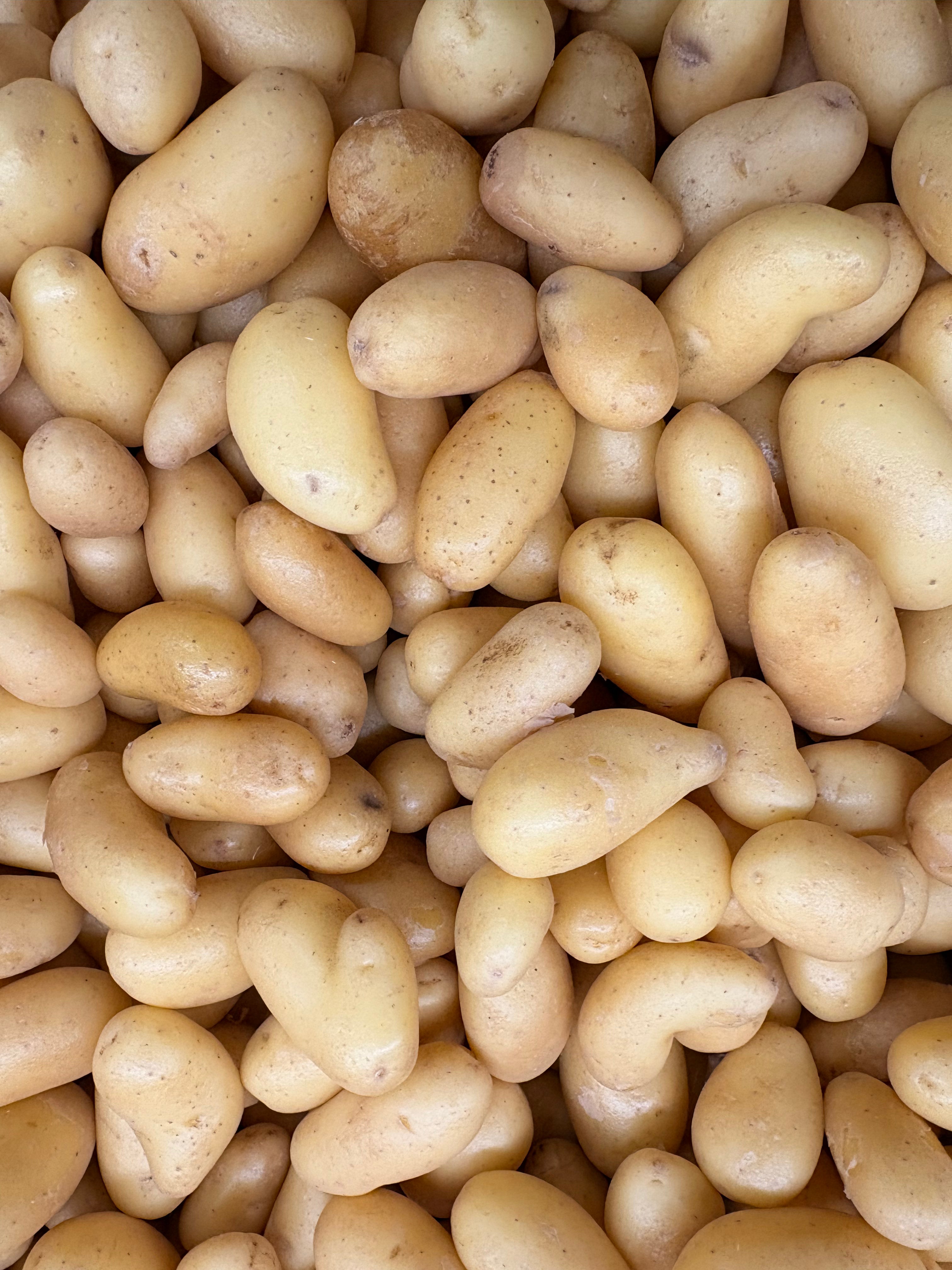 Pommes de terre nouvelles grenaille   «délicatesse »