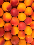 Abricots « Bergeval »