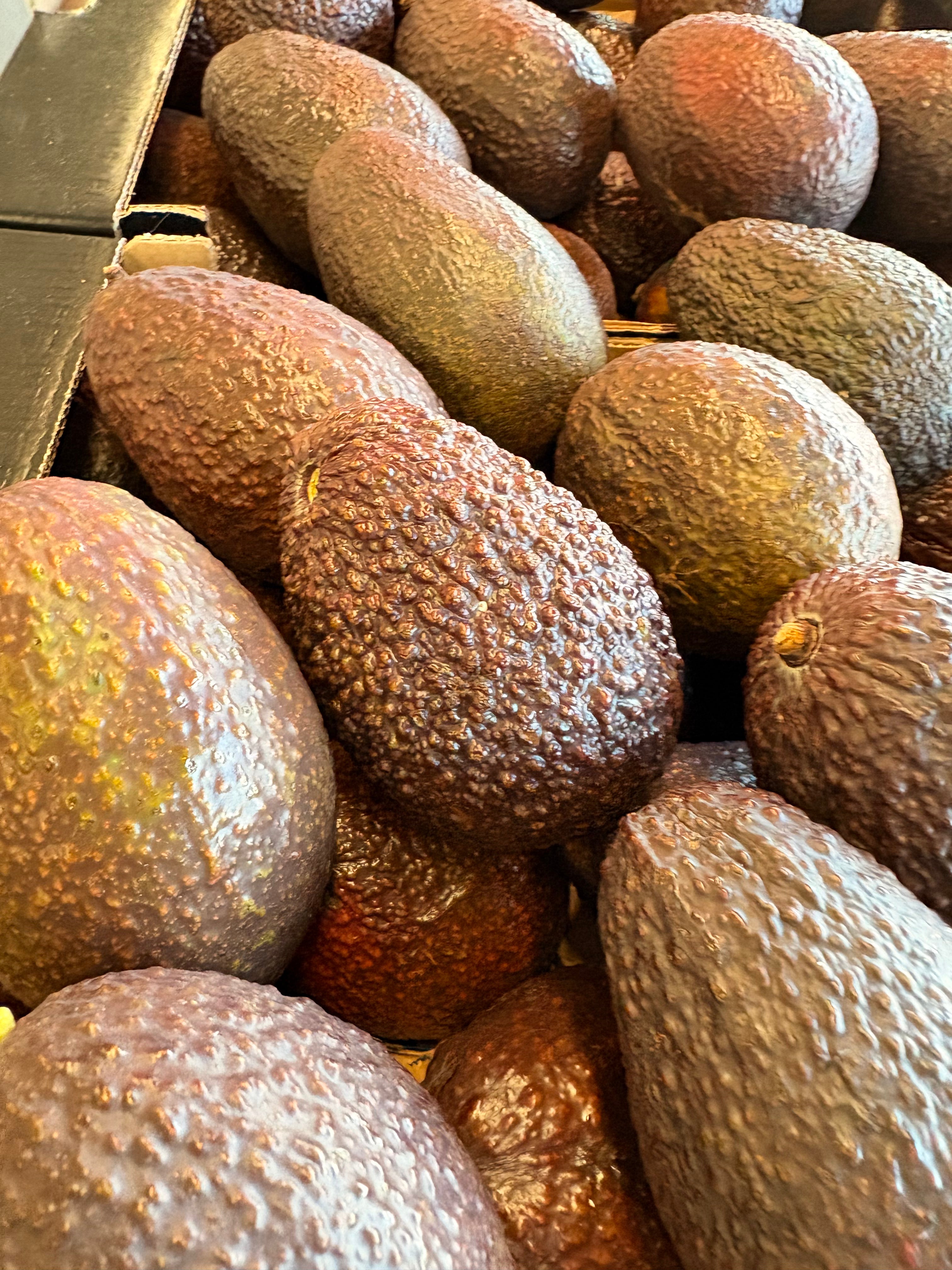 Avocat