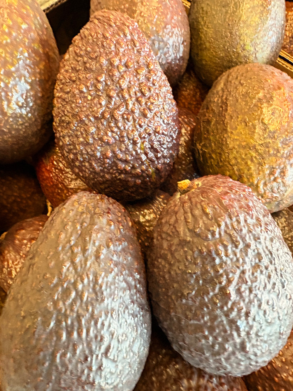 Avocat