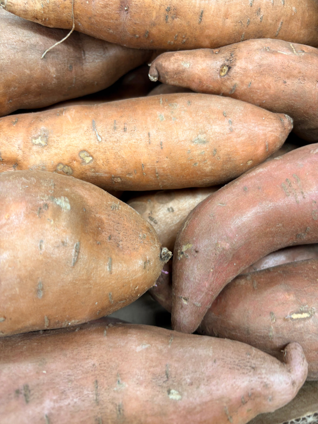 Patates douces