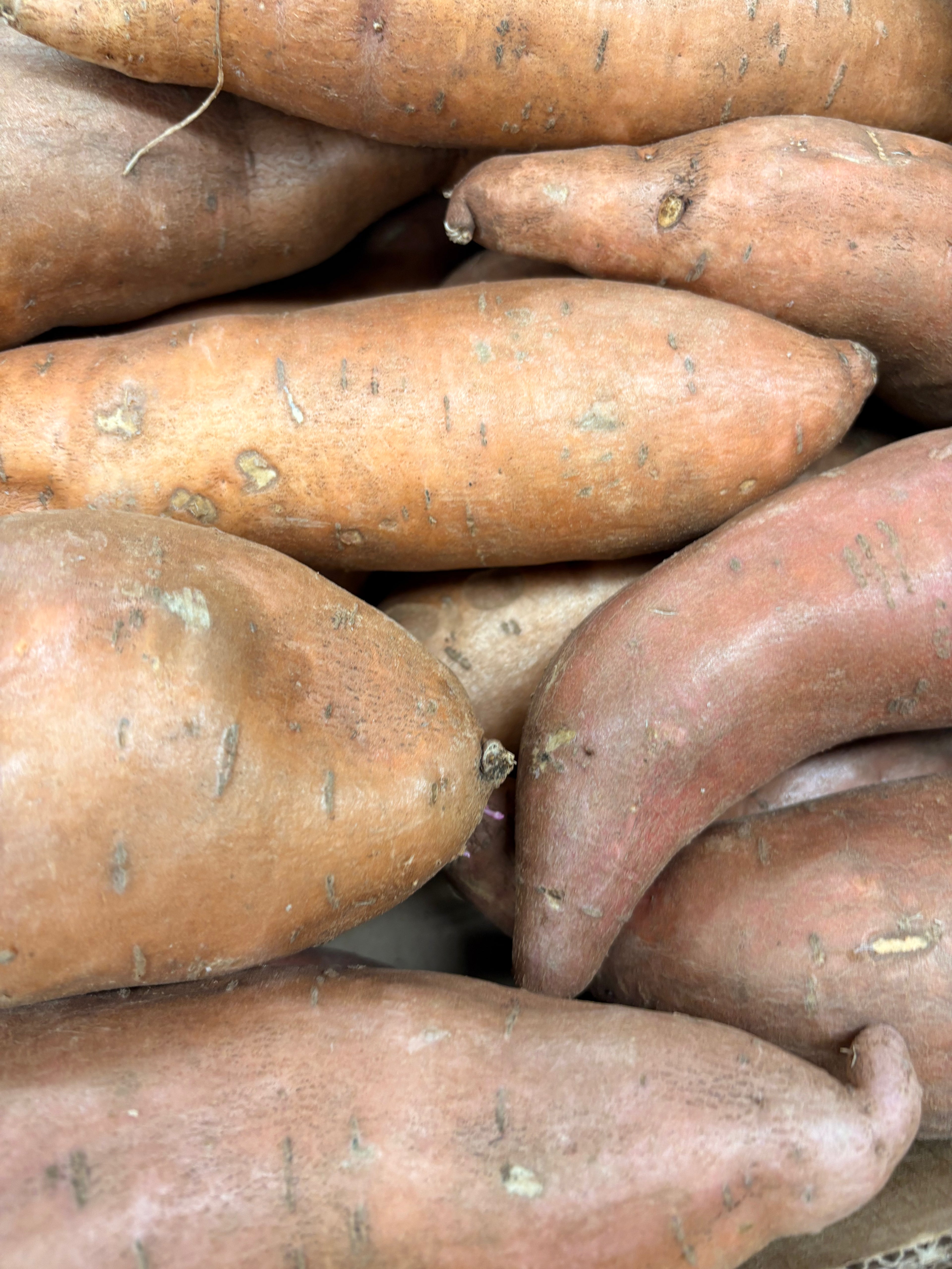 Patates douces