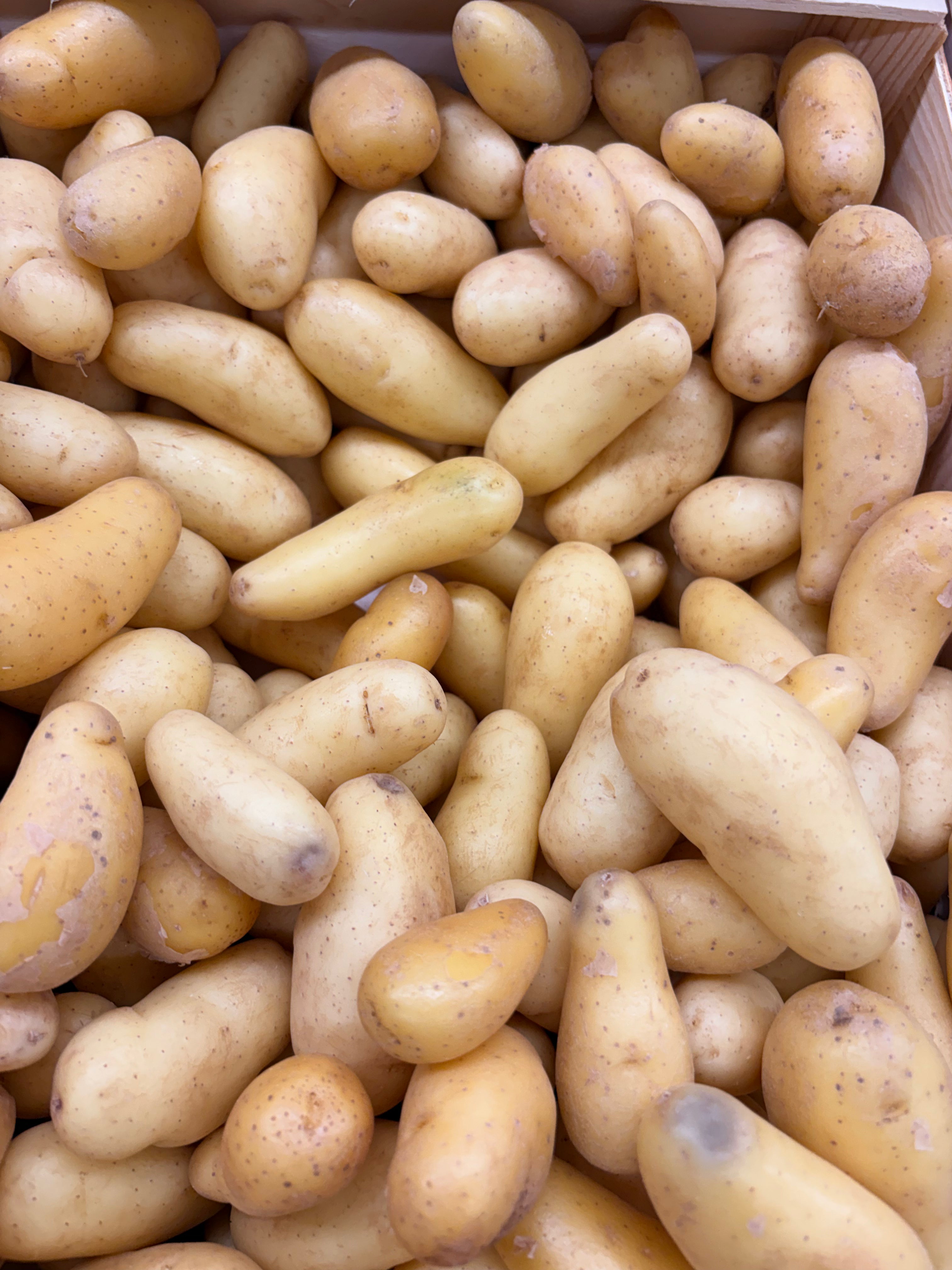 Pommes de terre « délicatesse » grenaille moyenne