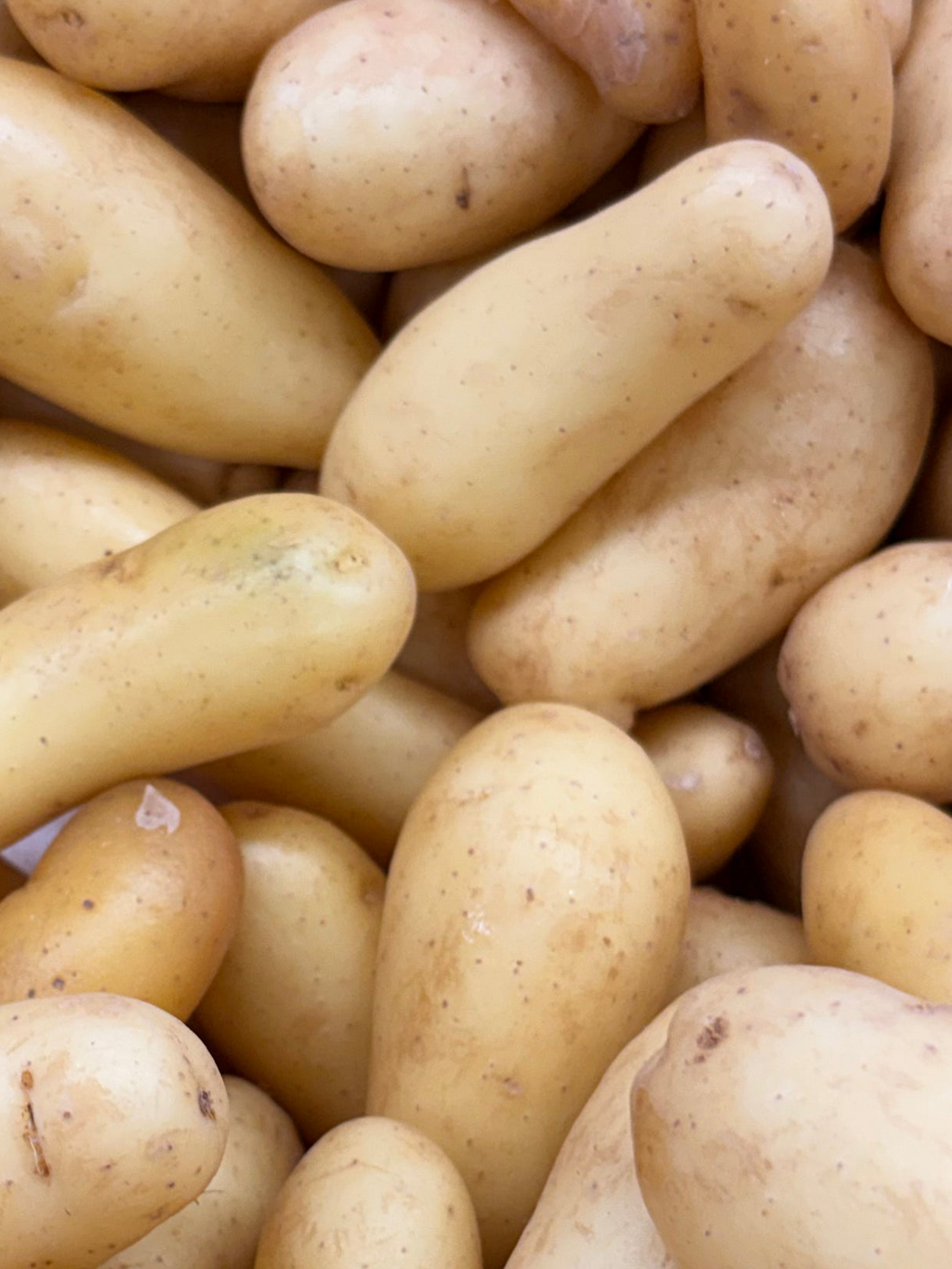 Pommes de terre « délicatesse » grenaille moyenne