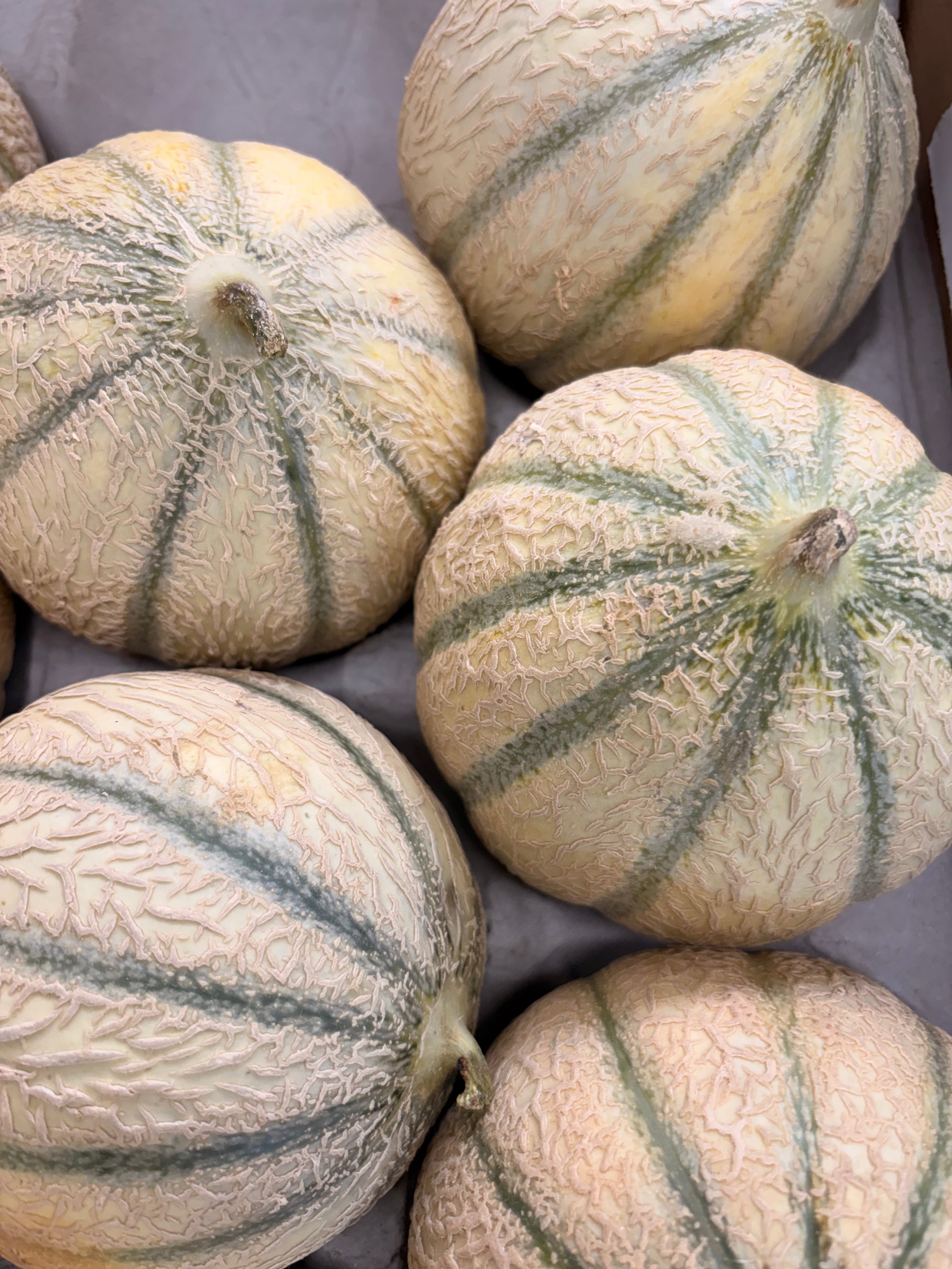Melons charentais