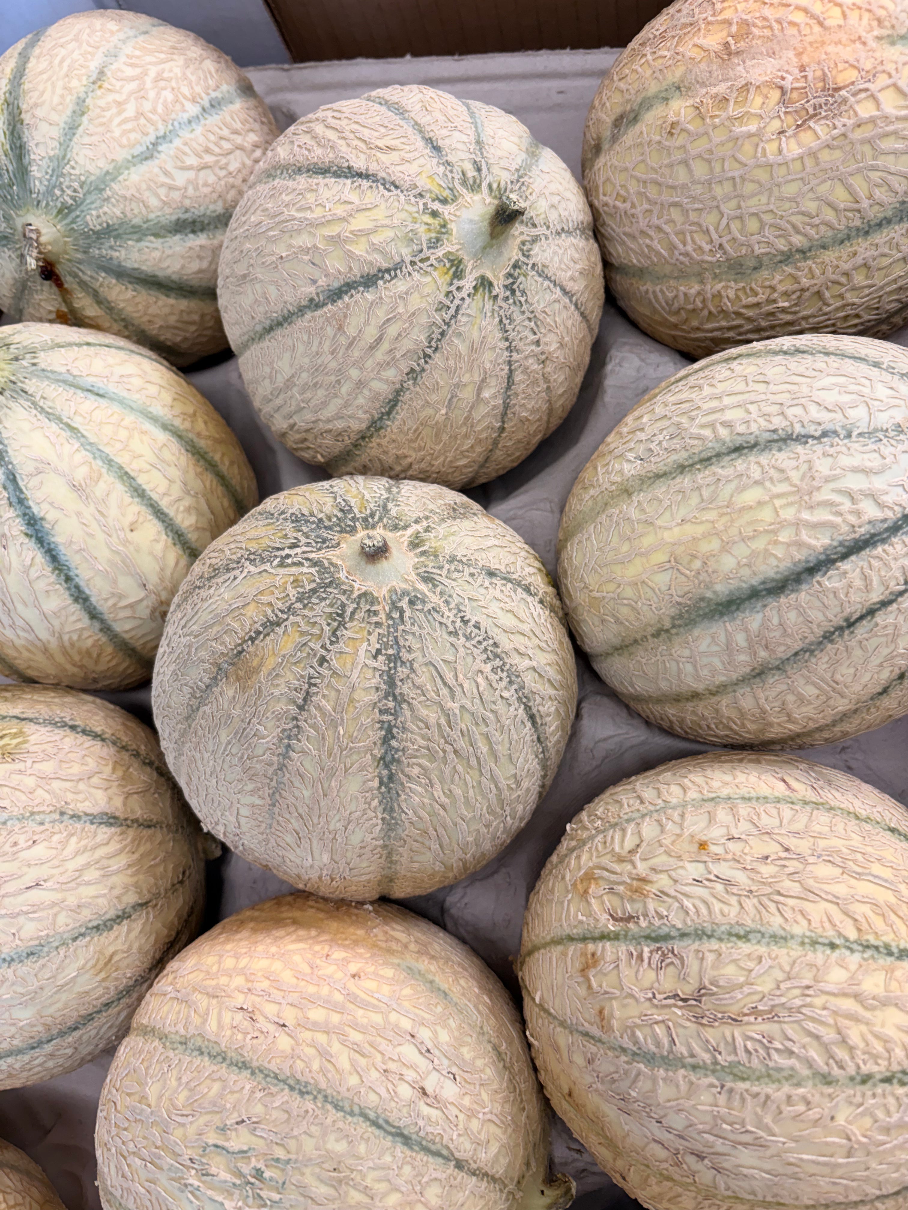 Melons charentais