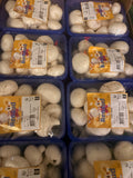Champignons de Paris blancs
