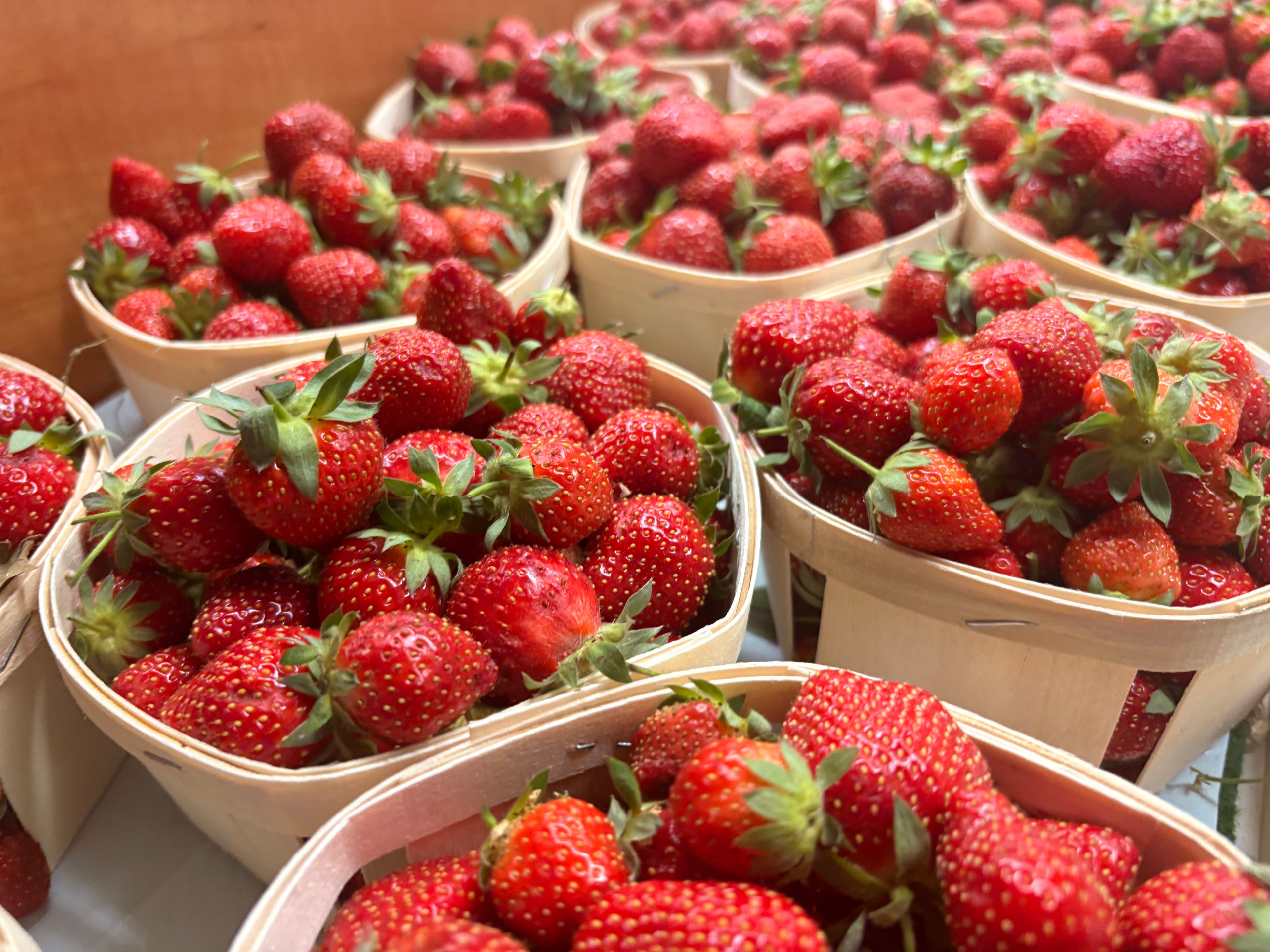 Fraises « clery » de Carpentras le lot de 2 barquettes de 500grs