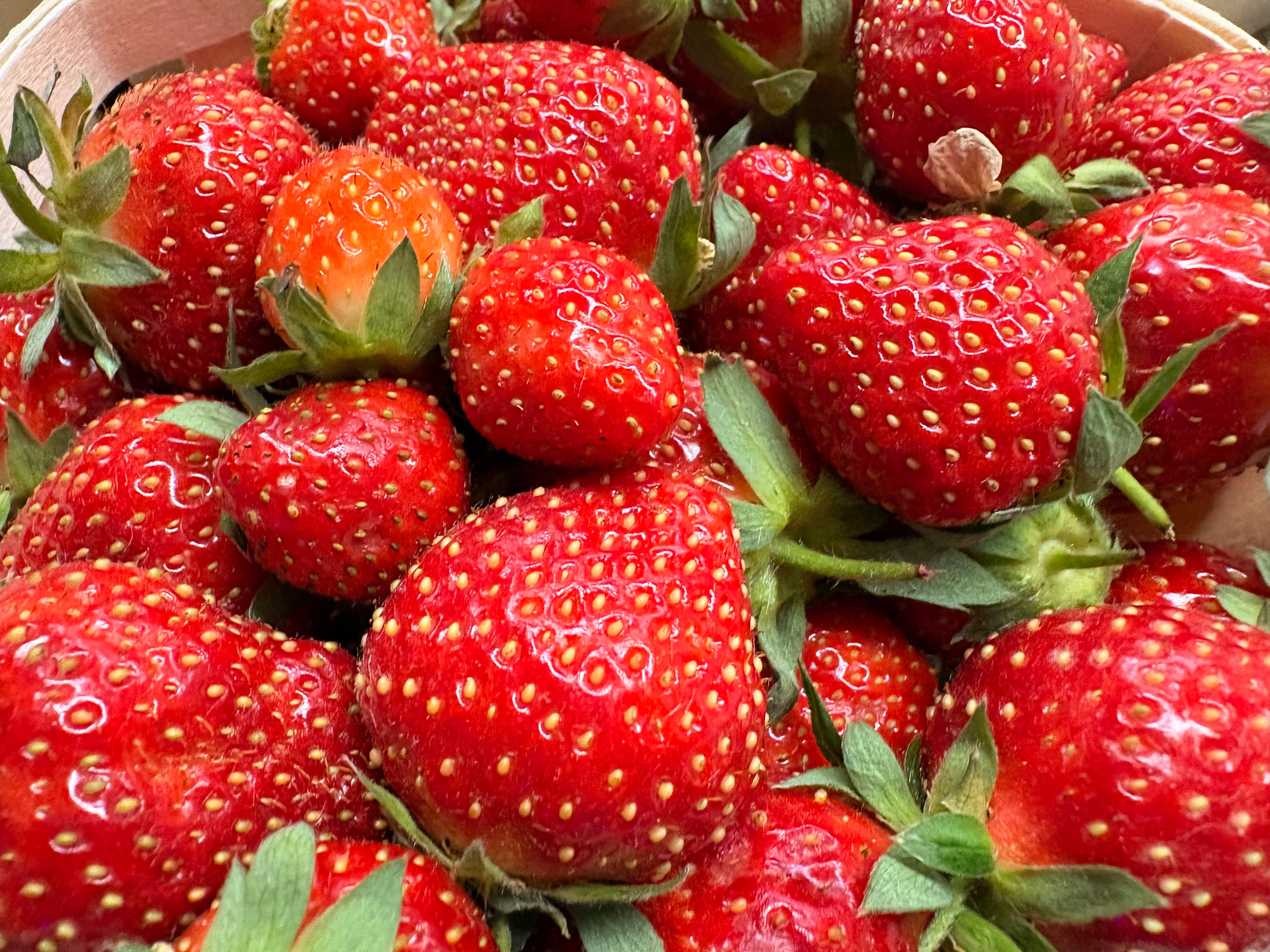 Fraises « clery » de Carpentras le lot de 2 barquettes de 500grs