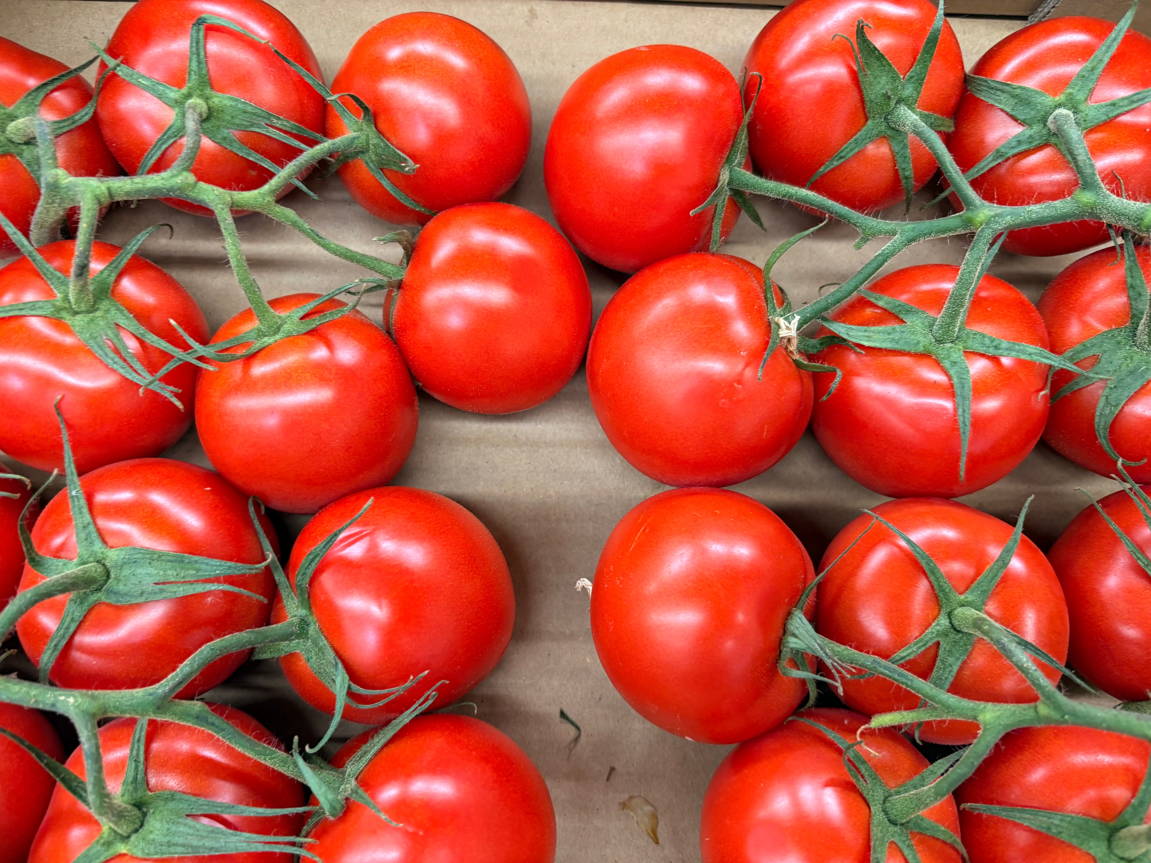 Tomates grappes