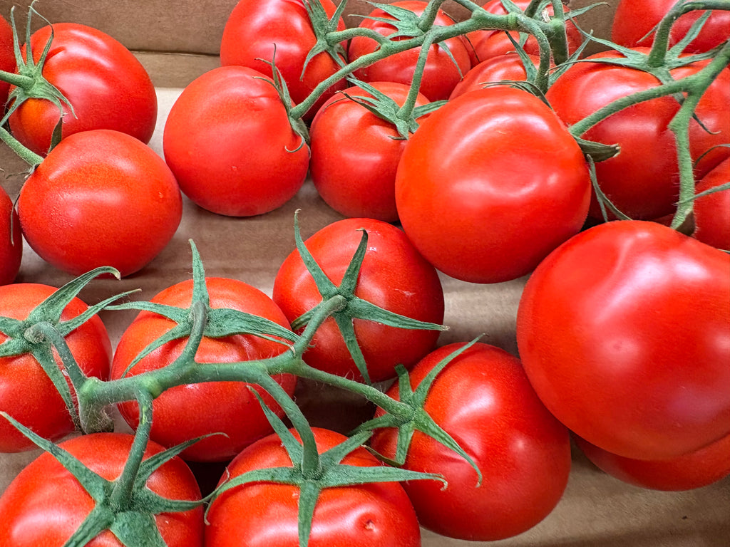 Tomates grappes