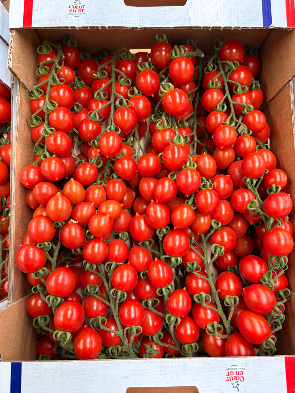 Tomates cerises les 250grs