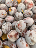 Prunes Quetsches