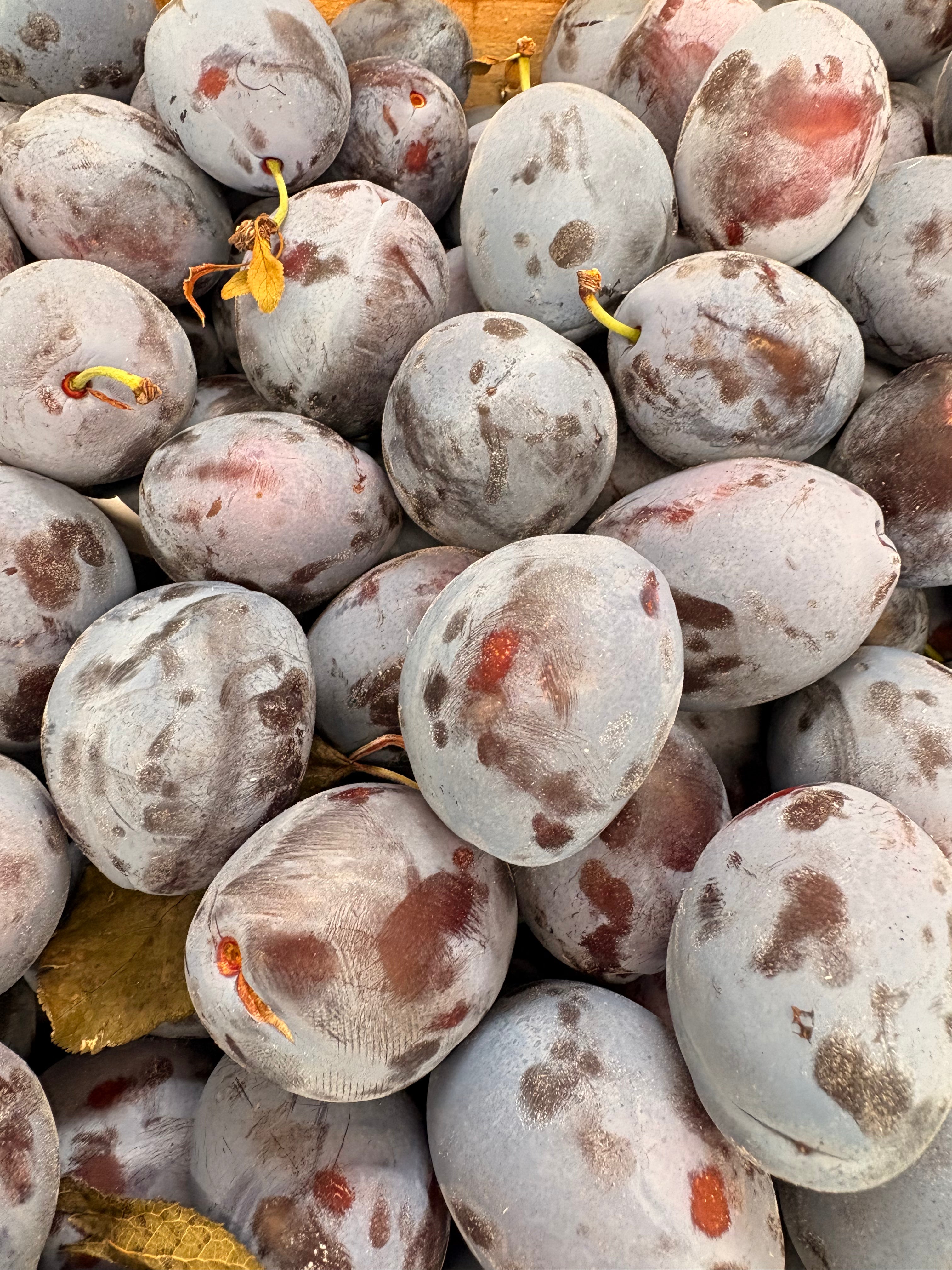 Prunes Quetsches