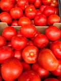 Tomates rondes du Maroc